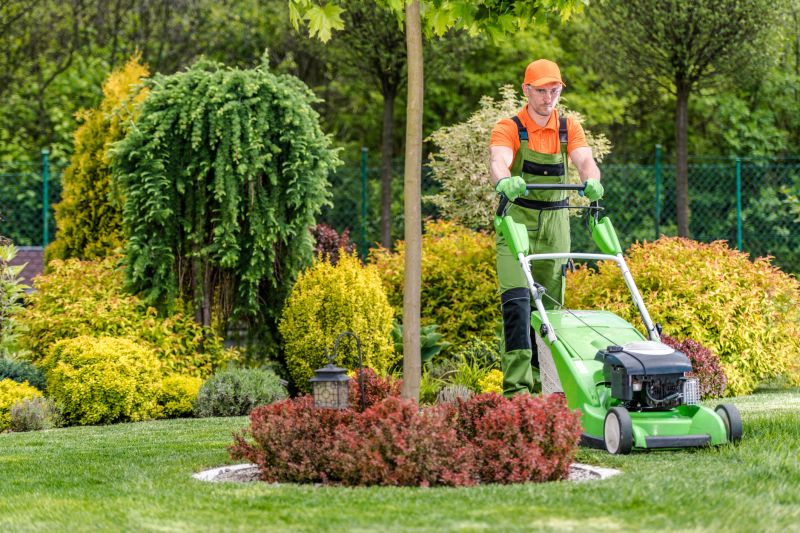 Yard Mowing And Maintenance