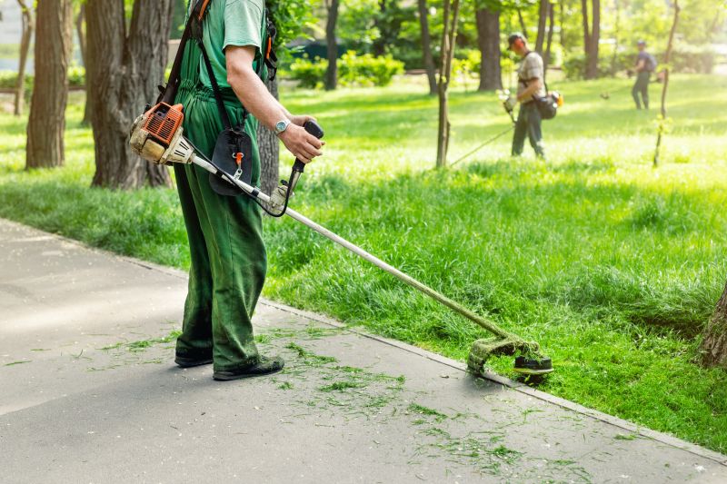 Yard Mowing And Maintenance