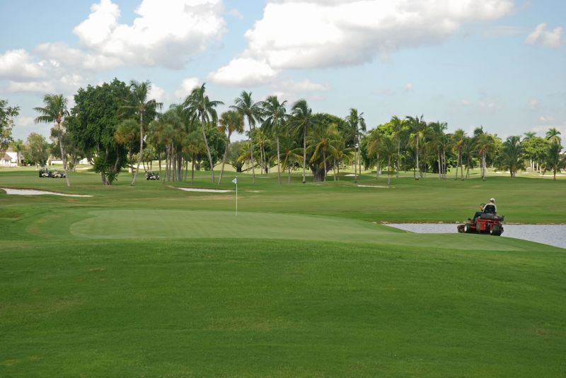 Yard Mowing And Maintenance