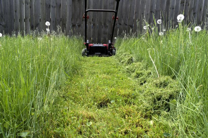 Yard Mowing And Maintenance