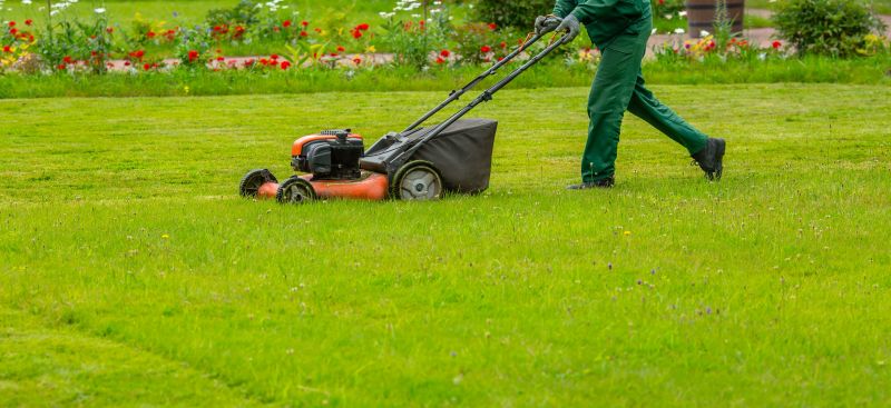 Weekly Lawn Care