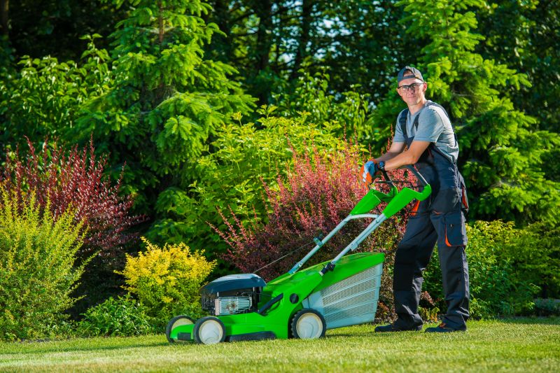 Yard Mowing And Maintenance detail