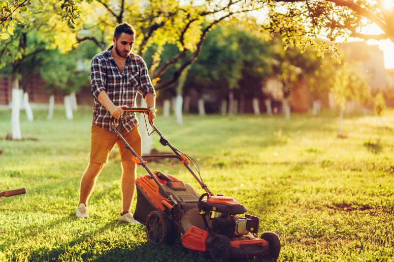 Yard Mowing And Maintenance detail