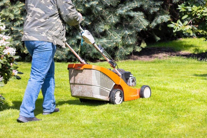 Yard Mowing And Maintenance