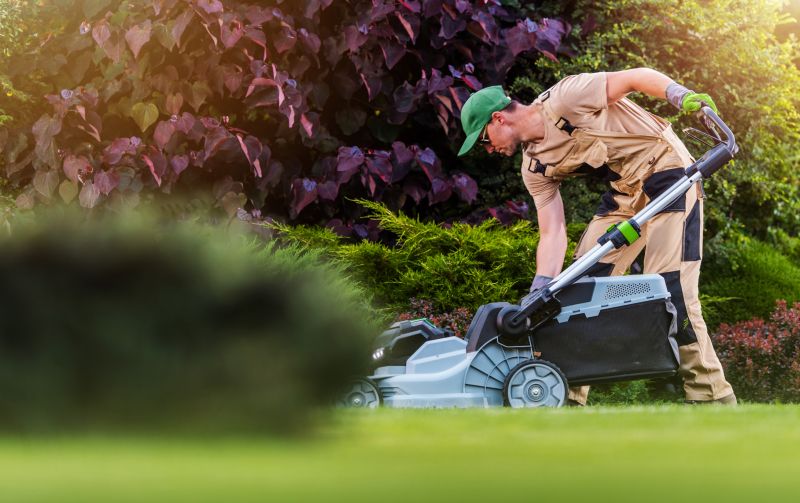 Yard Mowing And Maintenance